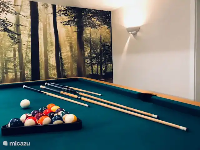 Waldhaus | Allemagne, Sauerland, Hallenberg - villa la grande table de billard au sous-sol semble être dans les bois
