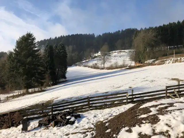 Waldhaus | Allemagne, Sauerland, Hallenberg - villa vue dégagée dans toutes les directions