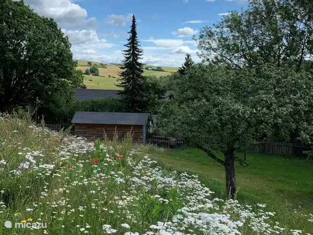 Waldhaus | Allemagne, Sauerland, Hallenberg - villa vue de la maison