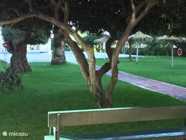 Appartement Ronda1, Los Boliches | Espagne, Costa del Sol, Fuengirola - appartement Notre jardin magnifiquement entretenu