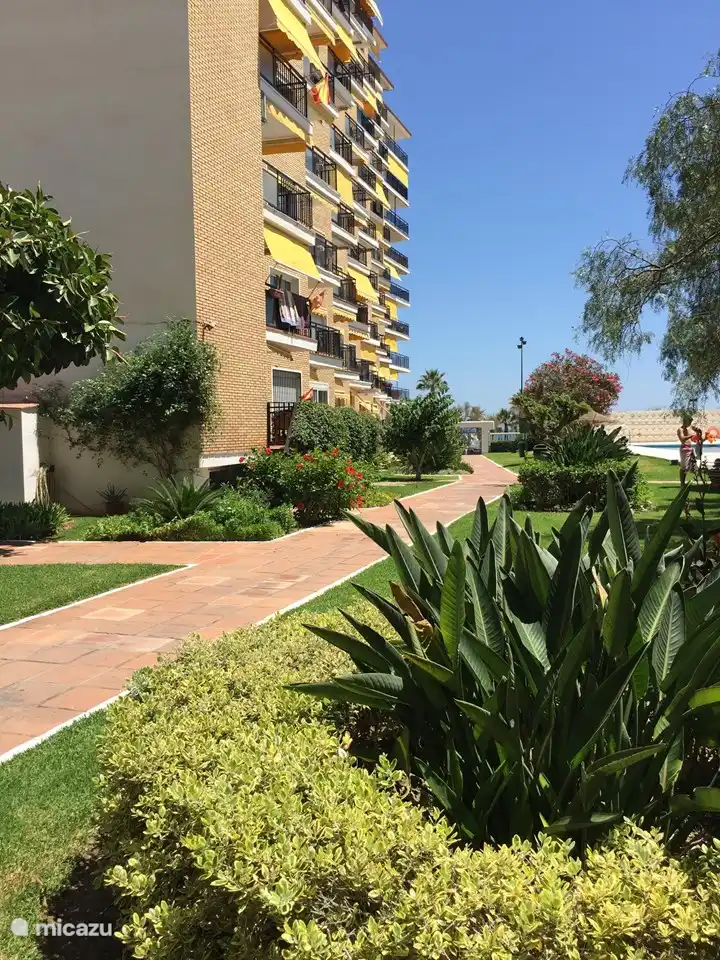 Garden path towards boulevard and sea