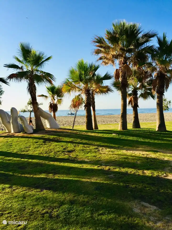 Palm trees on the beach in front of Ronda