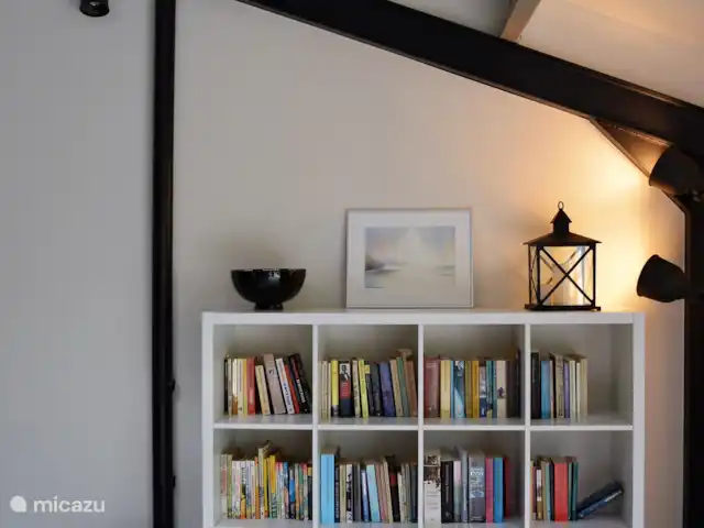 Appartement Hoeve a/d Zuurlanderes 2 huren in Nederland, Drenthe, Diever - appartement Goed gevulde boekenkast