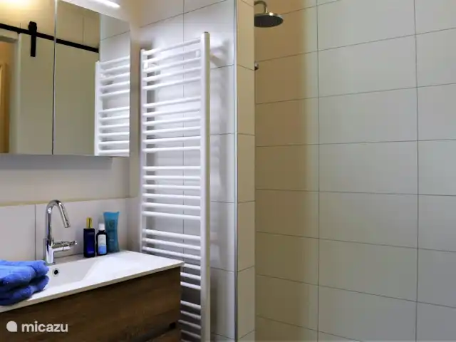 Appartement Hoeve a/d Zuurlanderes 2 huren in Nederland, Drenthe, Diever - appartement Deel badkamer beneden