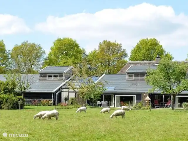 Appartement Hoeve a/d Zuurlanderes 2 huren in Nederland, Drenthe, Diever - appartement Zicht op het appartement vanaf weiland