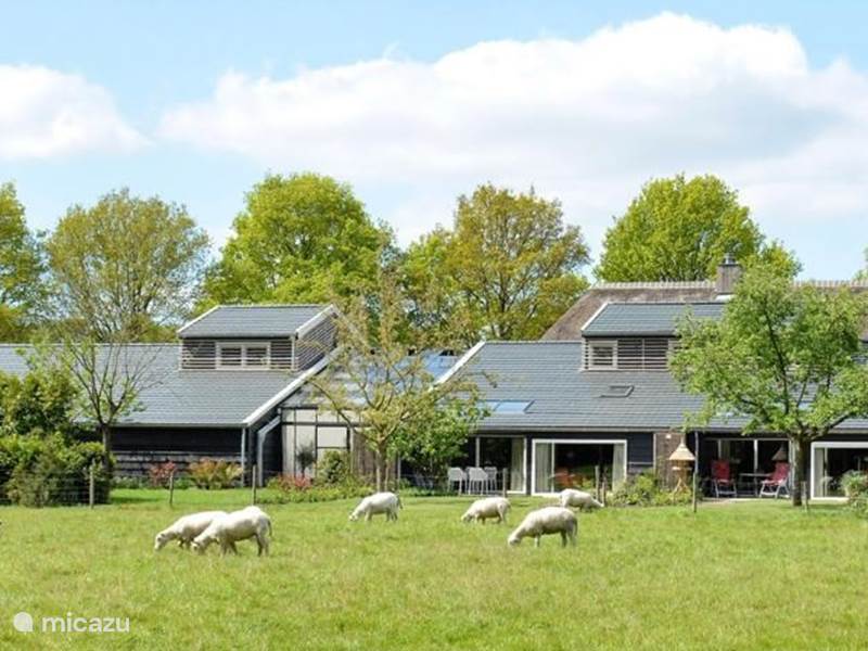 Holiday home in Netherlands, Drenthe, Diever Apartment Apartment the Zuurlanderes