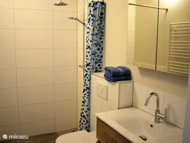 Appartement Hoeve a/d Zuurlanderes 2 huren in Nederland, Drenthe, Diever - appartement Badkamer boven