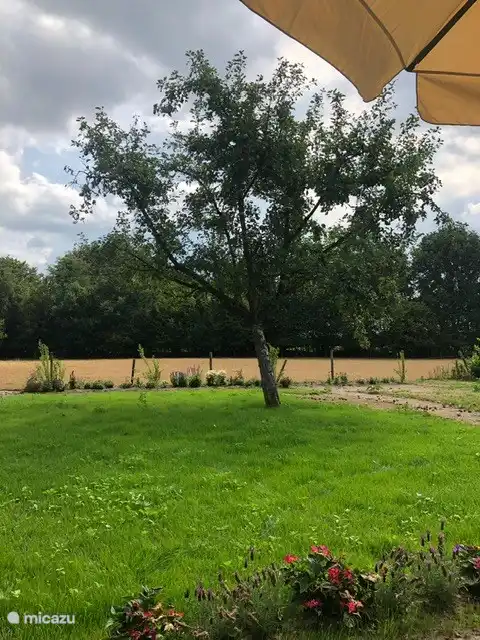 Blick auf Weiden und Bäume