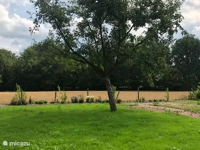 Appartement Hoeve a/d Zuurlanderes 2 huren in Nederland, Drenthe, Diever - appartement Uitzicht naar weiland en bomensingel