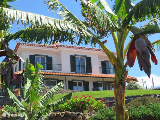 Holiday home in Portugal, Madeira – bed & breakfast Quinta da Colina (B&B)