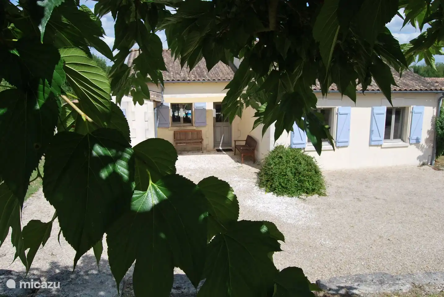 Die Maulbeere spendet am Nachmittag Schatten. Guter Platz zum Parken.