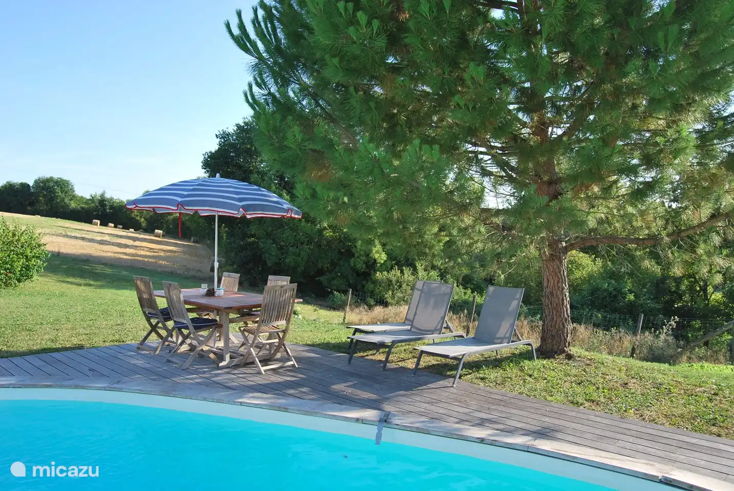 Die Kiefer spendet willkommenen Schatten.