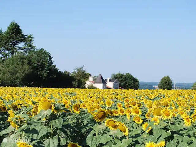 Le Séquioa | France, Charente, Chalais (Charente) - gîte / cottage La douce France.