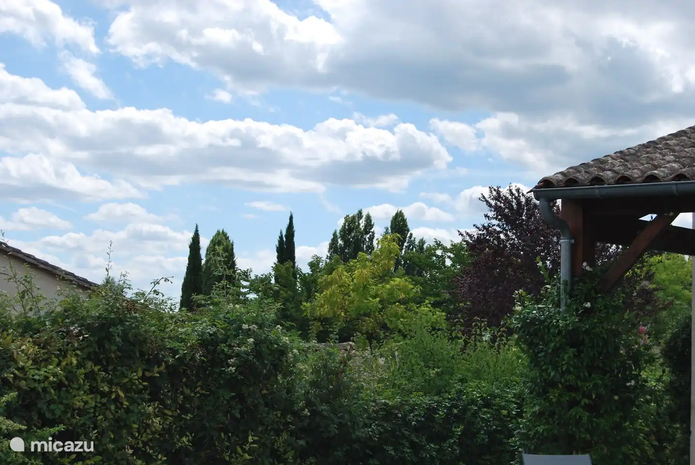 Die grüne Hecke sorgt für optimale Privatsphäre.