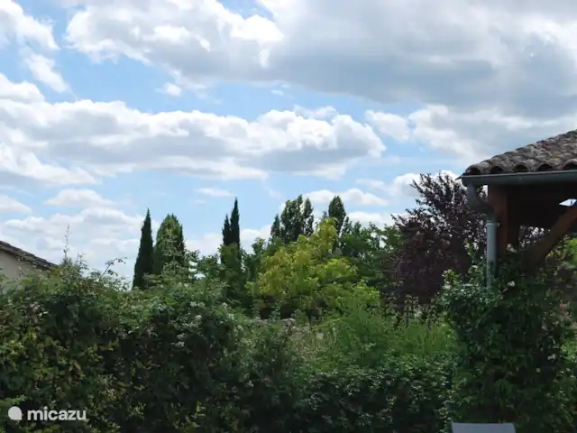 Le Séquioa | France, Charente, Chalais (Charente) - gîte / cottage La haie verte offre une intimité optimale.