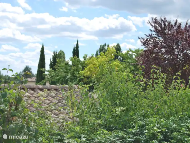Le Séquioa | France, Charente, Chalais (Charente) - gîte / cottage Vue de côté.