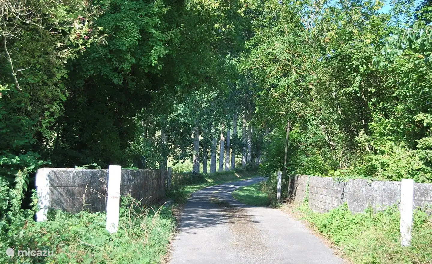 Die Gegend ist begrünt. 