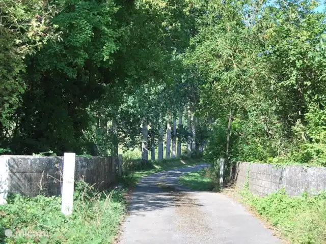 Le Séquioa | France, Charente, Chalais (Charente) - gîte / cottage La région est verdoyante.