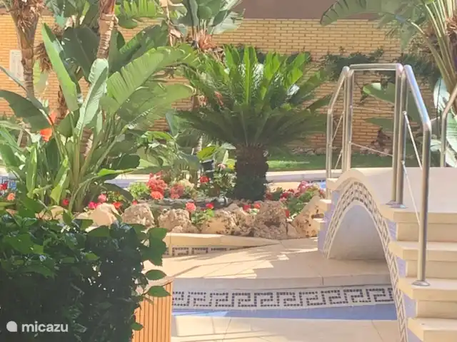 plage de palmiers | Espagne, Costa del Sol, Fuengirola - appartement