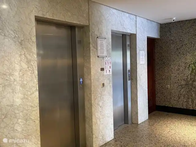 plage de palmiers | Espagne, Costa del Sol, Fuengirola - appartement