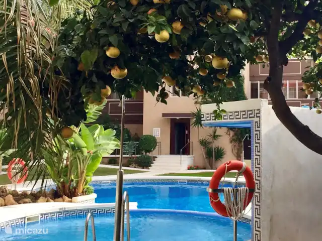 plage de palmiers | Espagne, Costa del Sol, Fuengirola - appartement plage de palmiers | Espagne, Costa del Sol, Fuengirola - appartement