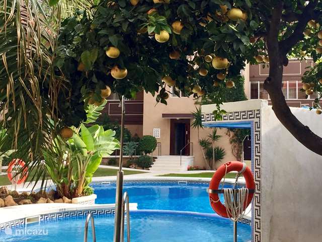 Holiday home in Spain, Andalusia, Mijas - apartment Palm beach