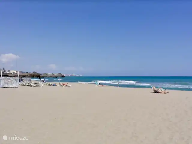 plage de palmiers | Espagne, Costa del Sol, Fuengirola - appartement