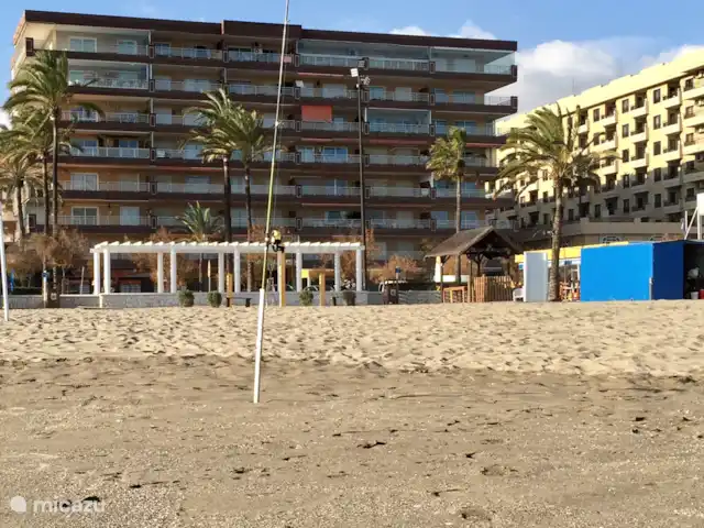 plage de palmiers | Espagne, Costa del Sol, Fuengirola - appartement Front de mer à Palm Beach