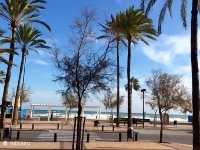 plage de palmiers | Espagne, Costa del Sol, Fuengirola - appartement Dès que tu sors de la porte, tu vois ça