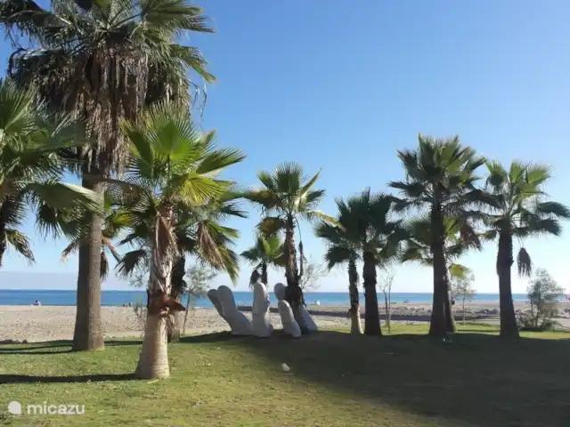 plage de palmiers | Espagne, Costa del Sol, Fuengirola - appartement