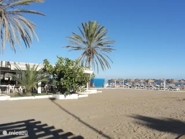 plage de palmiers | Espagne, Costa del Sol, Fuengirola - appartement