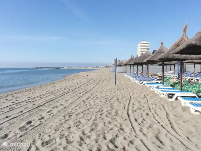 plage de palmiers | Espagne, Costa del Sol, Fuengirola - appartement