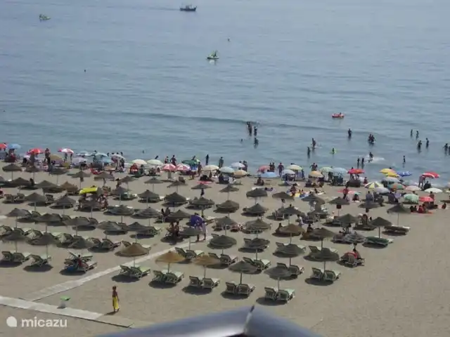plage de palmiers | Espagne, Costa del Sol, Fuengirola - appartement