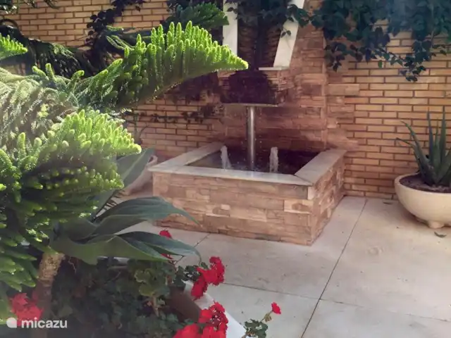 plage de palmiers | Espagne, Costa del Sol, Fuengirola - appartement Jardin