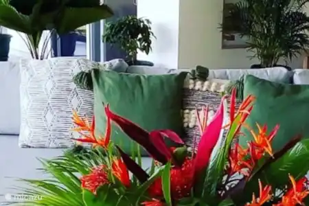 Vakantiehuis Costa Rica, Guanacaste, Puerto Carrillo villa Casa Iscaja