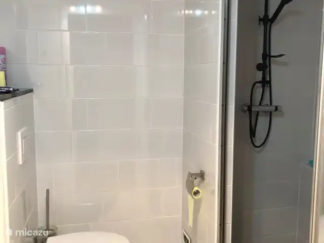 Huis AnSaJo huren in Oostenrijk, Karinthië, Grosskirchheim - vakantiehuis Badkamer ensuite