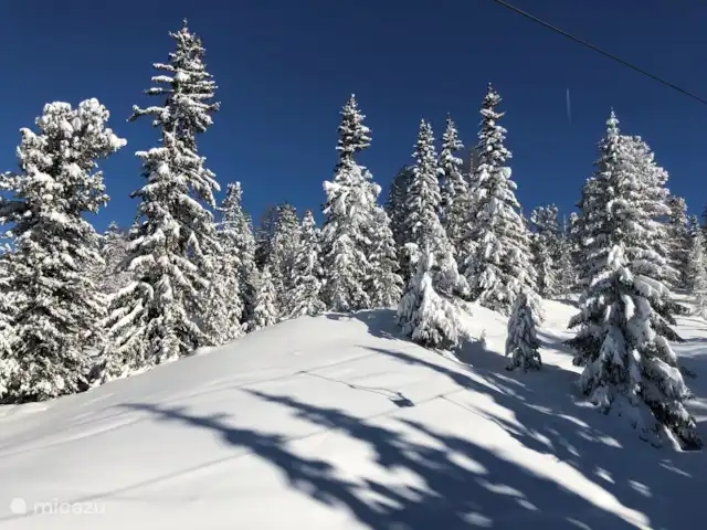 Huis AnSaJo huren in Oostenrijk, Karinthië, Grosskirchheim - vakantiehuis Winterzicht
