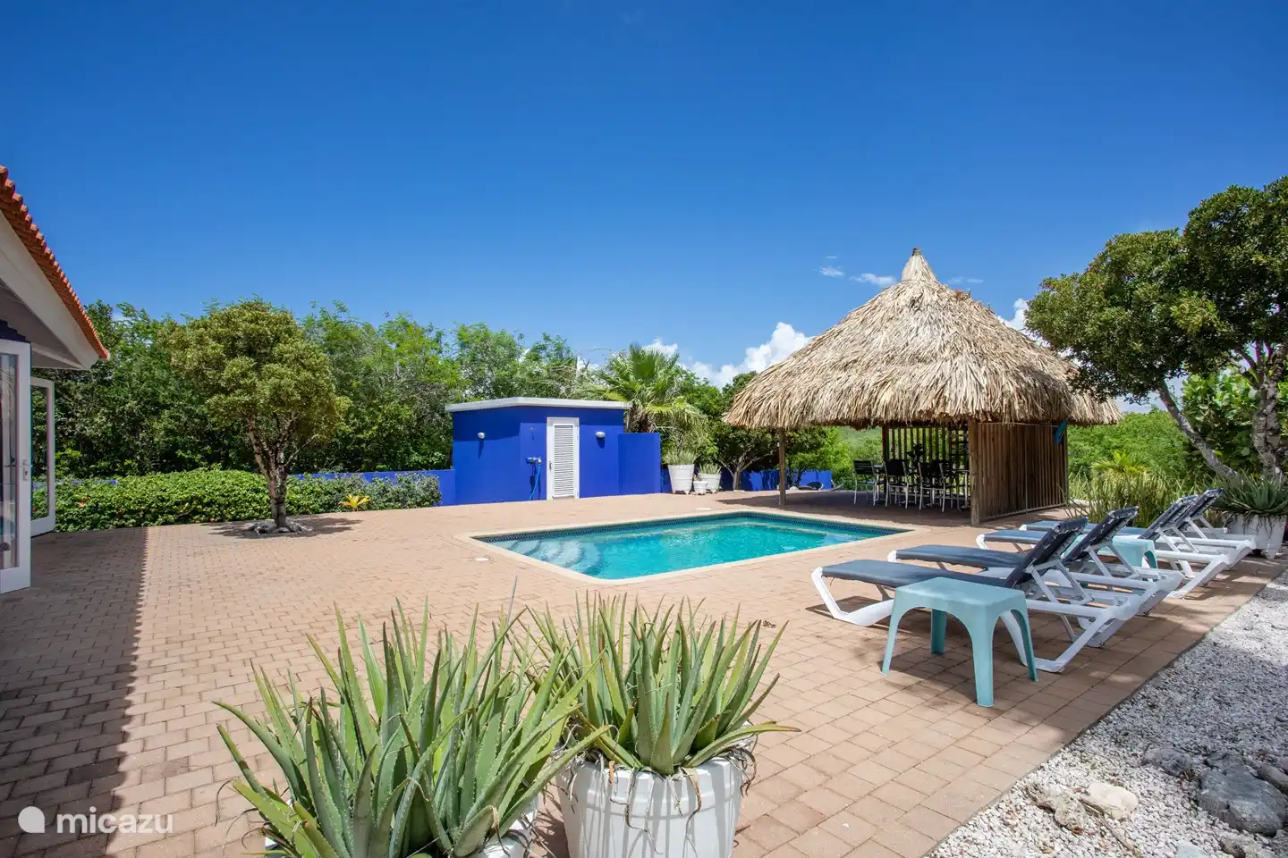 Piscine avec palapa et transats