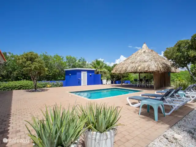 Villa Caribbean Passion huren in Curaçao, Banda Abou (west), Coral Estate, Rif St.Marie - villa Zwembad met palapa en ligbedjes