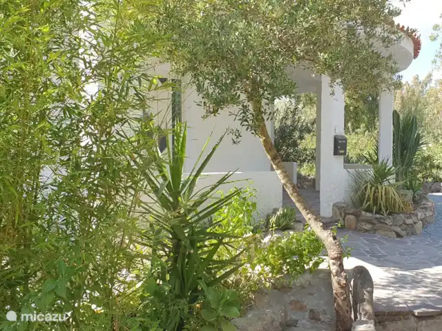 Villa Tana Margianis | Italie, Sardaigne, Perdaxius - villa Le jardin qui entoure la villa
