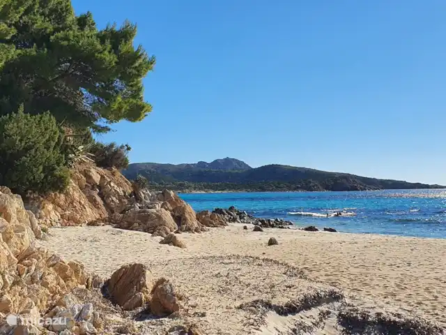 Villa Tana Margianis | Italie, Sardaigne, Perdaxius - villa Plage de Teuredda