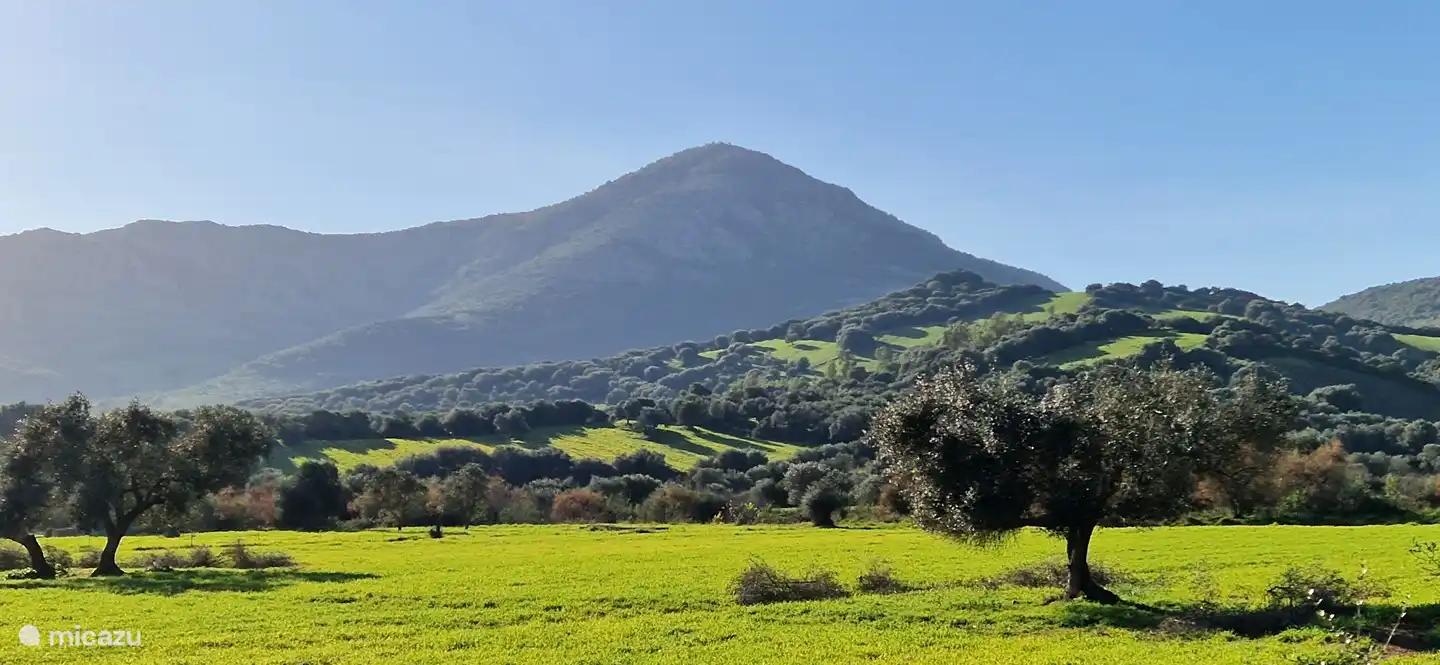 De directe omgeving van de Villa. Ga wandelen en kom dit uitzicht tegen.
