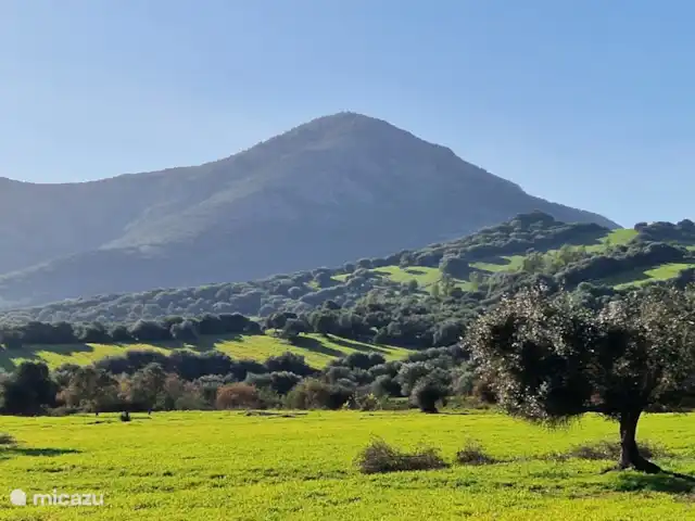 Villa Tana Margianis | Italie, Sardaigne, Perdaxius - villa Le voisinage immédiat de la Villa. Allez vous promener et tombez sur cette vue.