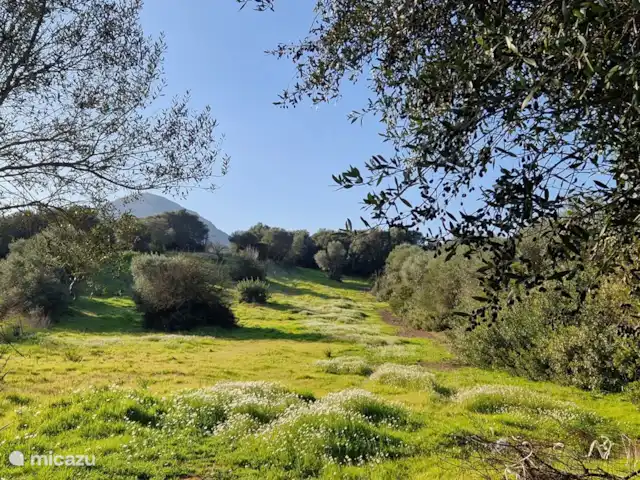 Villa Tana Margianis | Italie, Sardaigne, Perdaxius - villa Alentours immédiats de la villa
