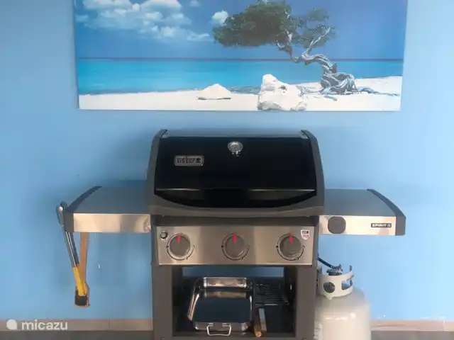 Mi Soño *Complexe Sécurisé* | Curaçao, Banda Abou (ouest), Fontein - maison de vacances Barbecue chez Mi Sono