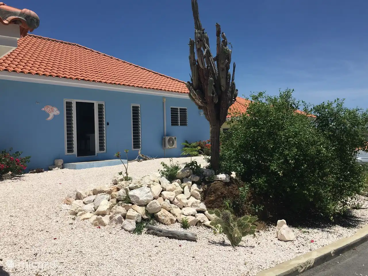 L'entrée de 'Mi Soño'