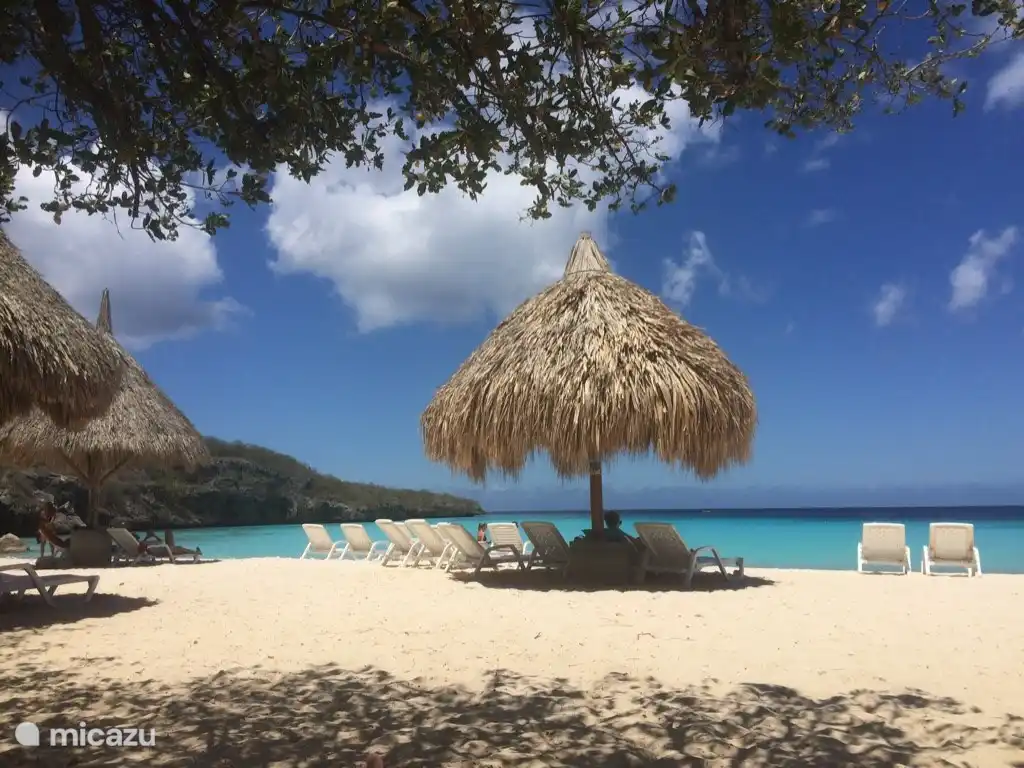 La plage voisine de Cas Abou