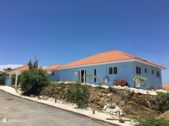 Mi Soño *Complexe Sécurisé* | Curaçao, Banda Abou (ouest), Fontein - maison de vacances Le cactus dans la cour avant