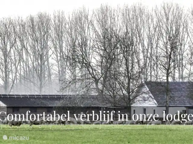 Location de Vacances Pays-Bas, Brabant-Septentrional, Boxmeer, maison de vacances - Loge du Haut Werveld Photo d'automne