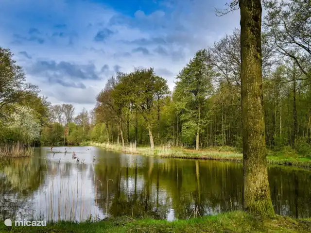 Location de Vacances Pays-Bas, Brabant-Septentrional, Boxmeer, maison de vacances - Loge du Haut Werveld tableau nature de Vilt